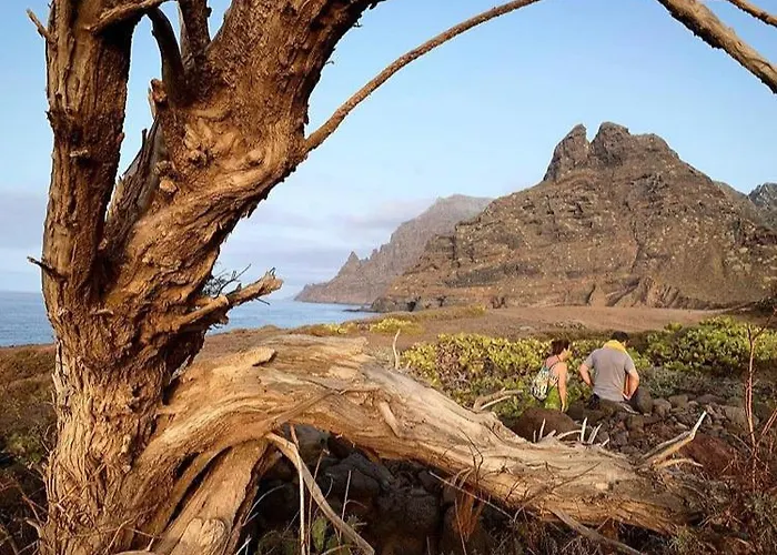 Waves Views * Punta Del Hidalgo